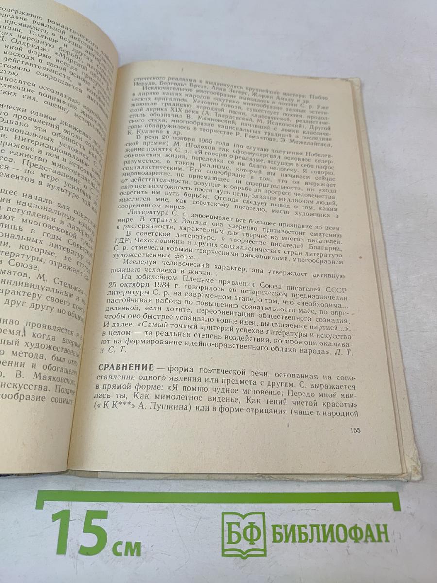 Краткий словарь литературоведческих терминов
