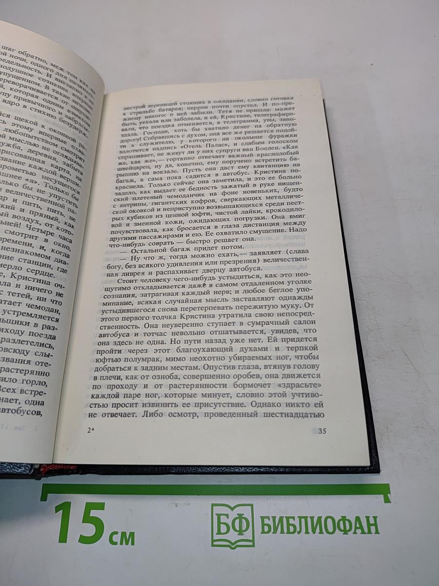 Стефан Цвейг. Портрет политического деятеля
