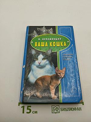 Ваша кошка
