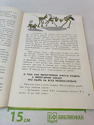 Восемь волшебных желудей, или Приключения Желудино и его младших братьев