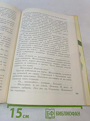Восемь волшебных желудей, или Приключения Желудино и его младших братьев