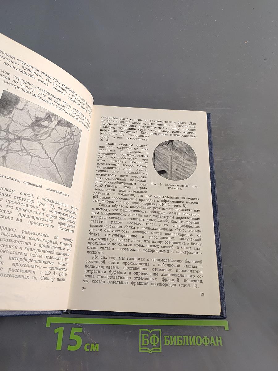 Симпозиум по соединительной ткани