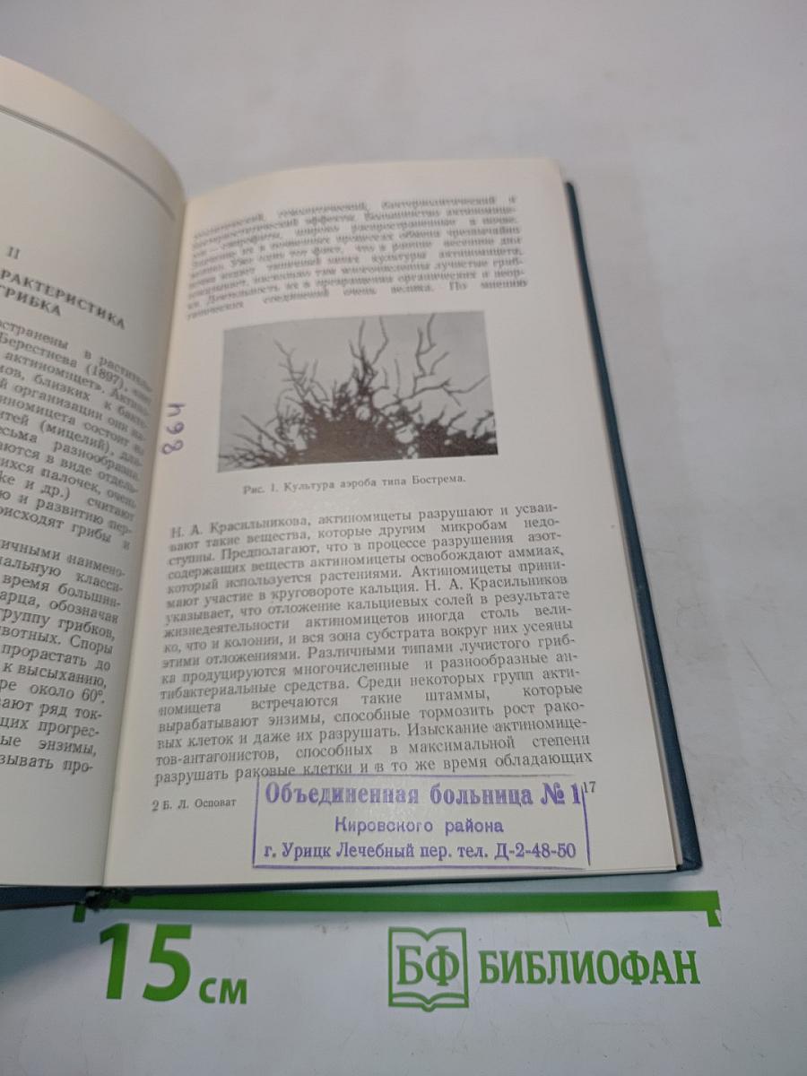 Актиномикоз легких