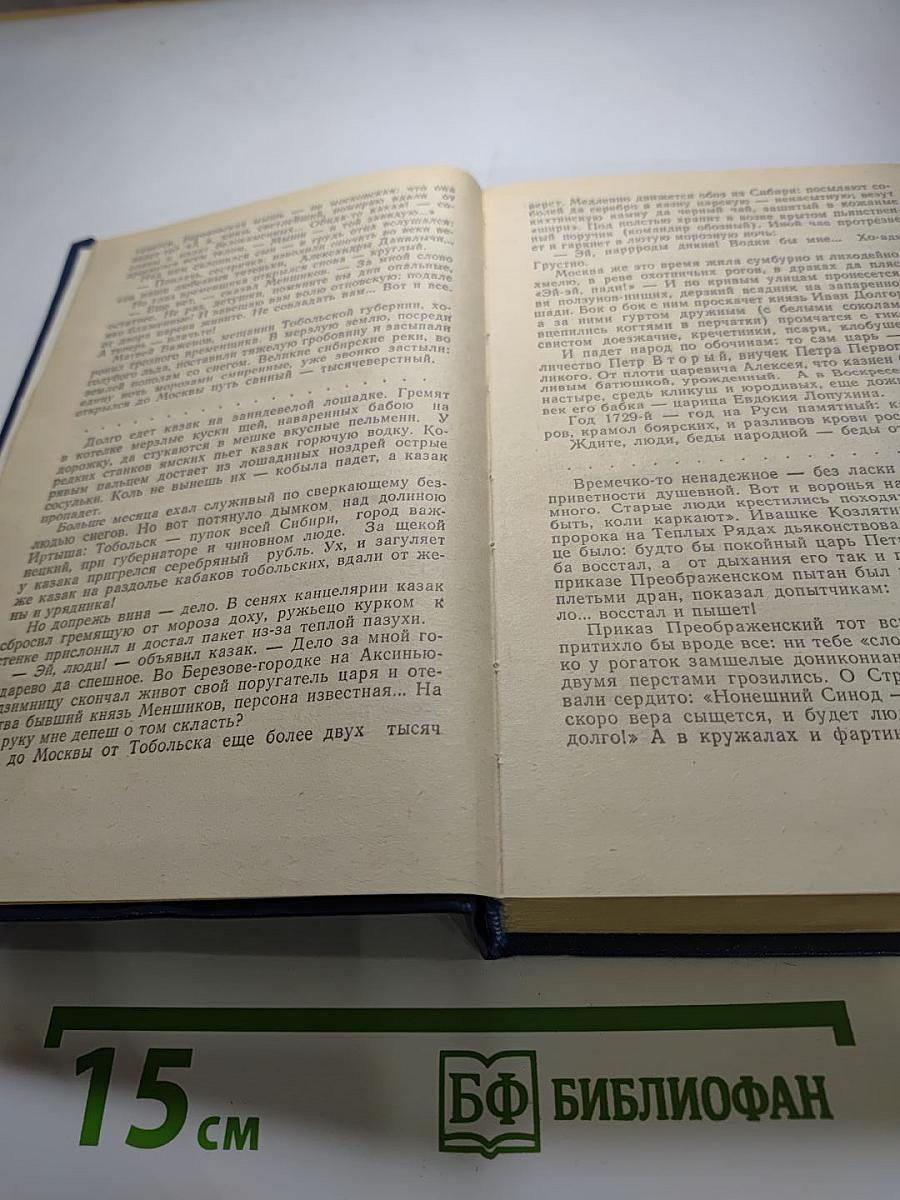 Слово и дело. Том I. Книга первая. Царица престрашного зраку