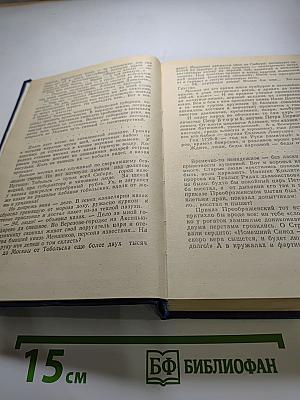 Слово и дело. Том I. Книга первая. Царица престрашного зраку