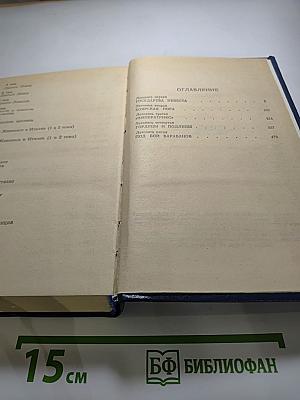 Слово и дело. Том I. Книга первая. Царица престрашного зраку