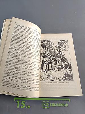 Охотница за скальпами