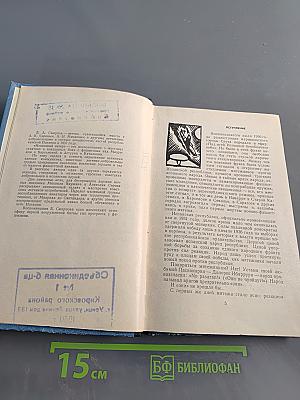 Испанский ветер. Записки лётчика