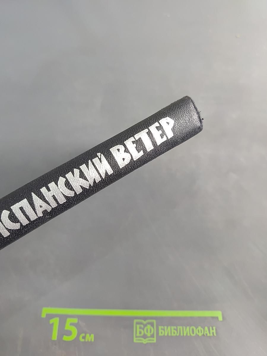 Испанский ветер. Записки лётчика