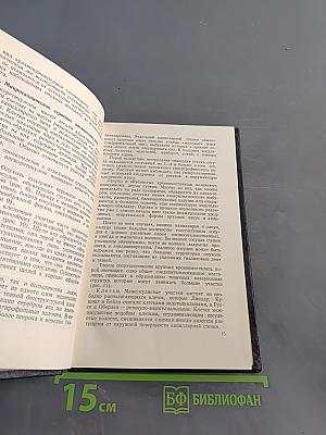 Ангиоретикулома головного мозга
