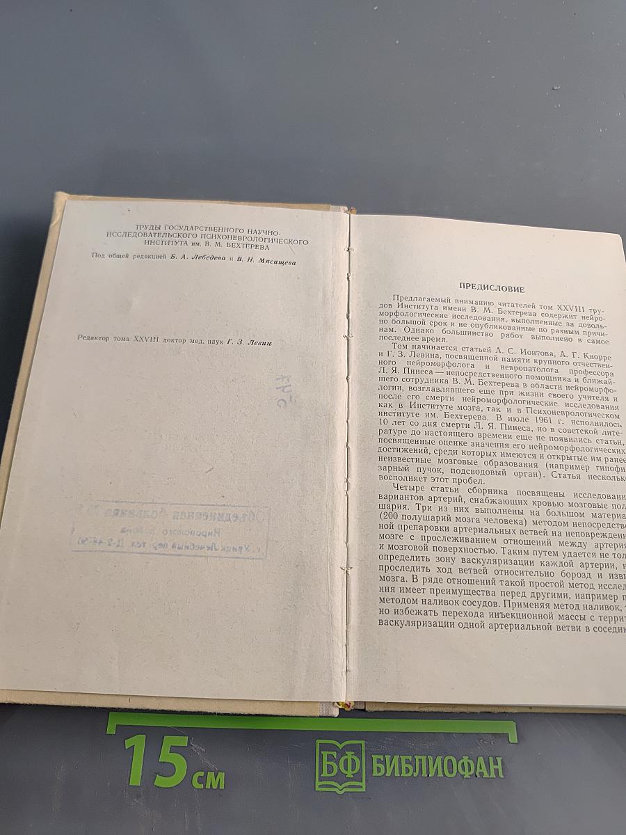 Нейроморфологические исследования