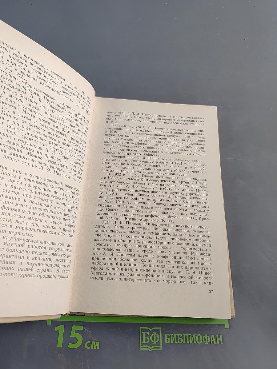Нейроморфологические исследования