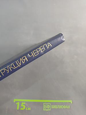 Форма и конструкция черепа