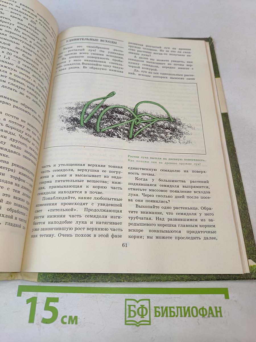 Спросим мнение самого растения