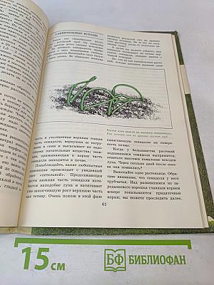 Спросим мнение самого растения