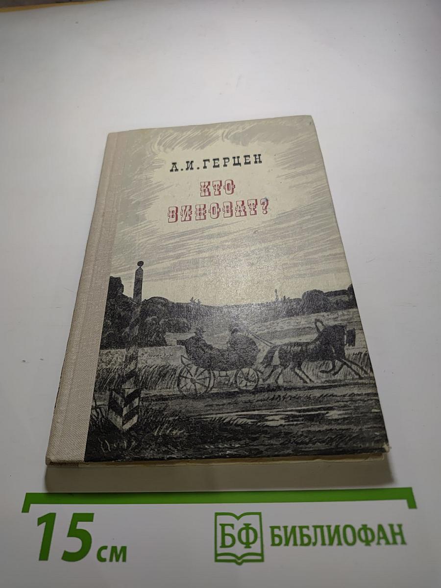 Кто виноват?