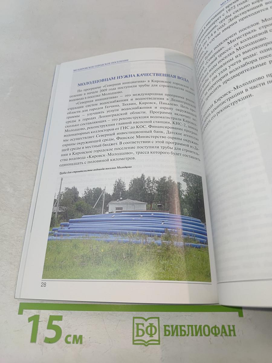 МО Кировское городское поселение. 2006-2009. Рождение, становление, развитие