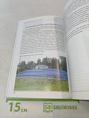 МО Кировское городское поселение. 2006-2009. Рождение, становление, развитие