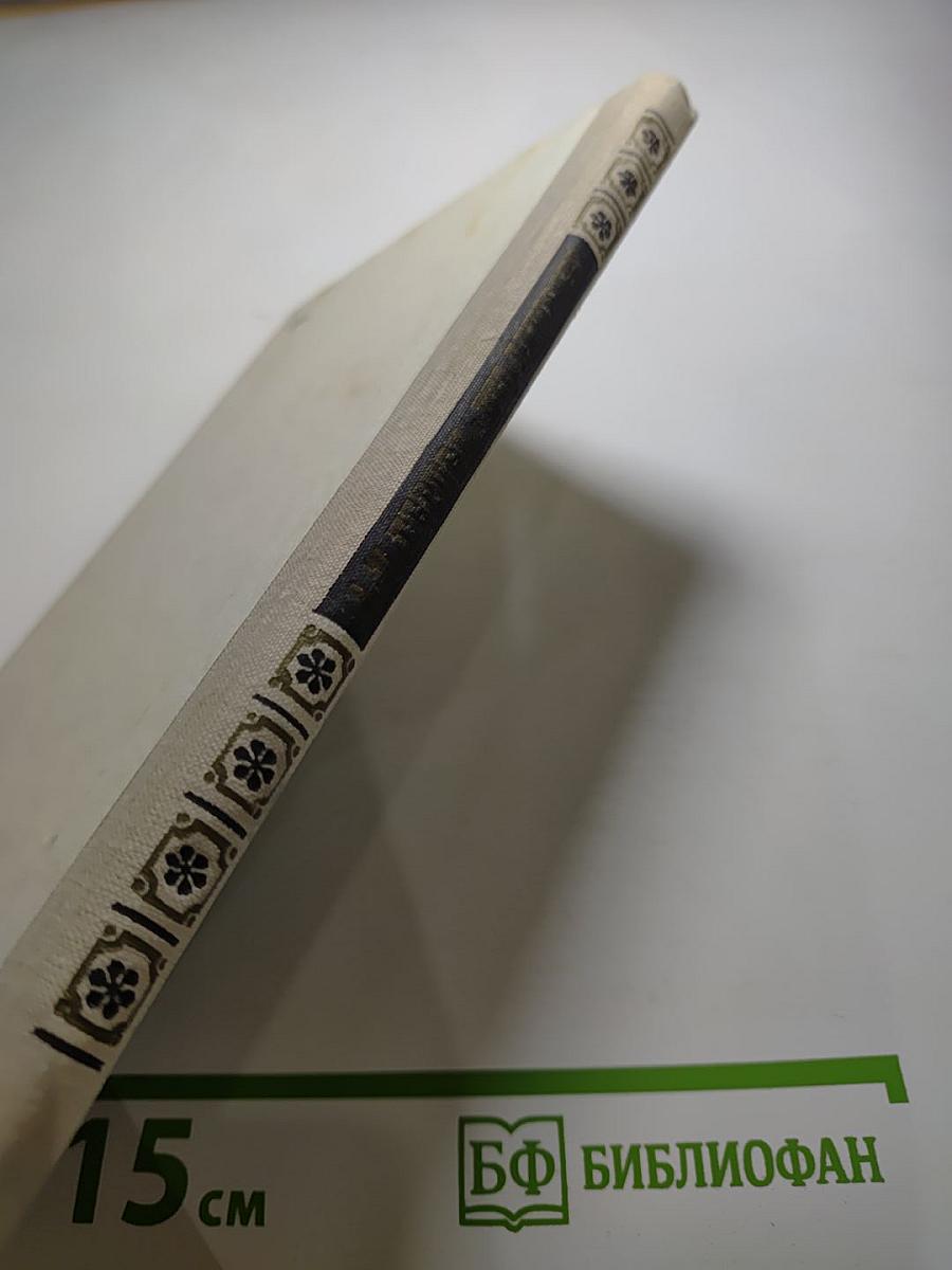 Кто виноват?