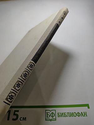 Кто виноват?