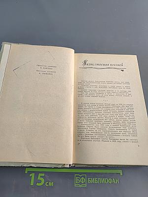 Сергей Чекмарев. Стихи, письма, дневники