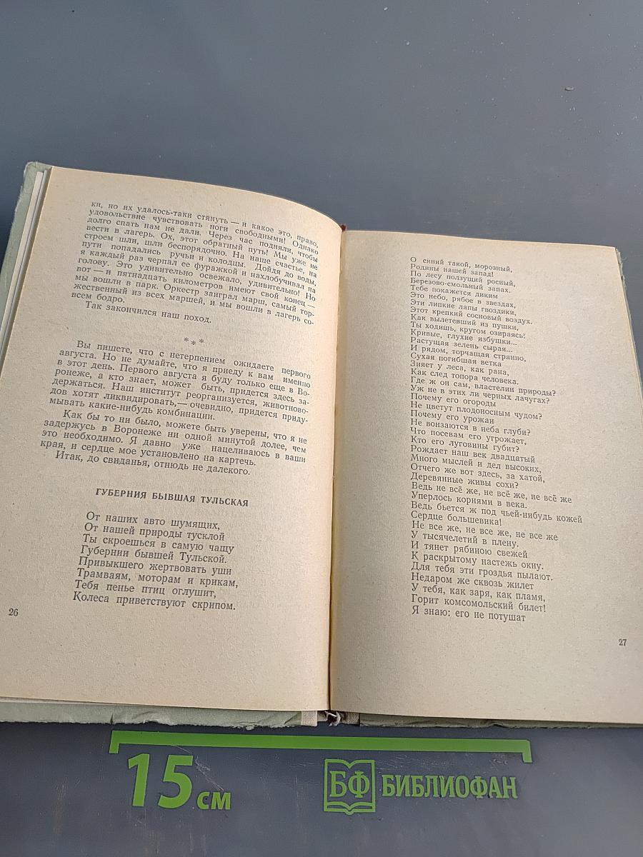 Сергей Чекмарев. Стихи, письма, дневники