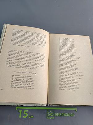 Сергей Чекмарев. Стихи, письма, дневники