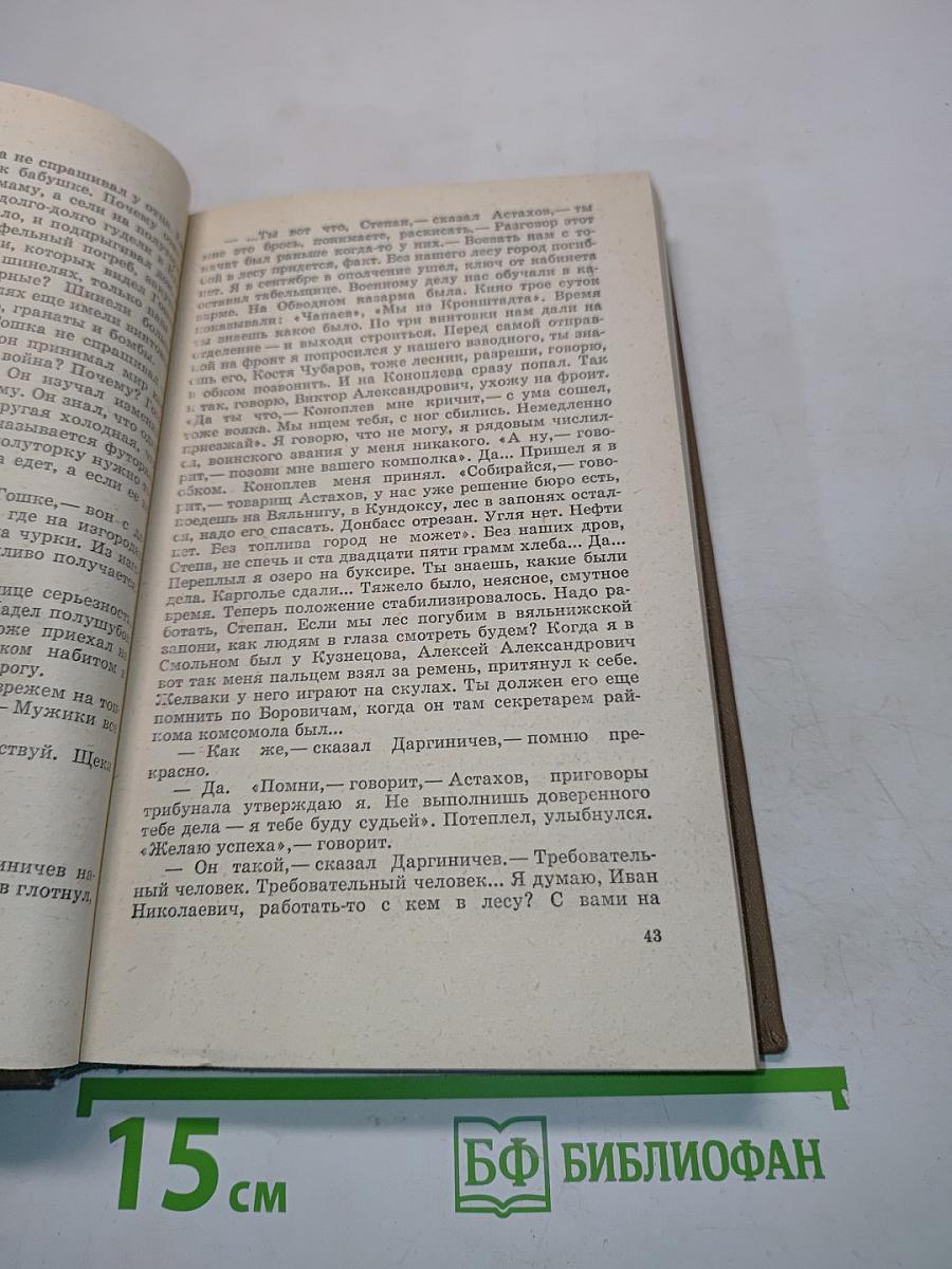 Запонь