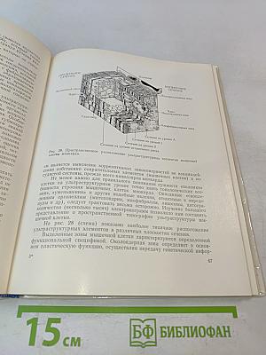Электронно-микроскопический анализ изменений сердца при инфаркте
