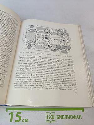 Электронно-микроскопический анализ изменений сердца при инфаркте