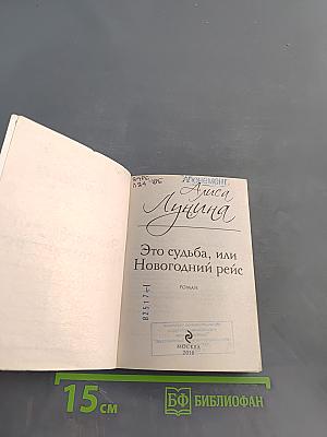 Это судьба, или Новогодний рейс
