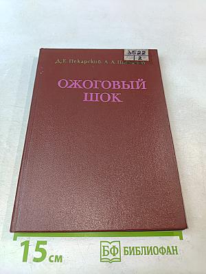 Ожоговый шок