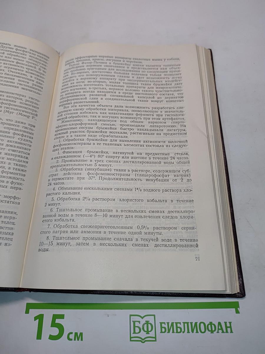 Очерки гистофизиологии нервных окончаний