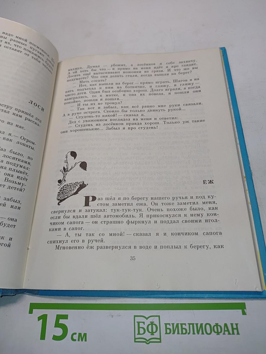 Говорящий грач. Рассказы