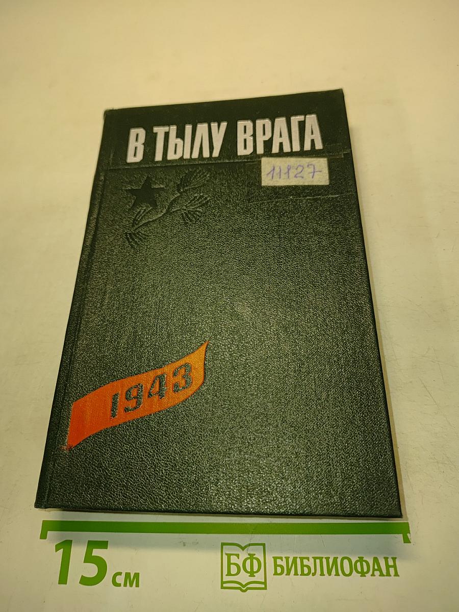 В тылу врага