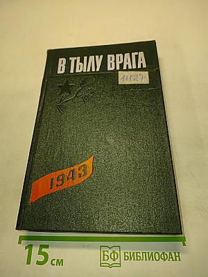 В тылу врага