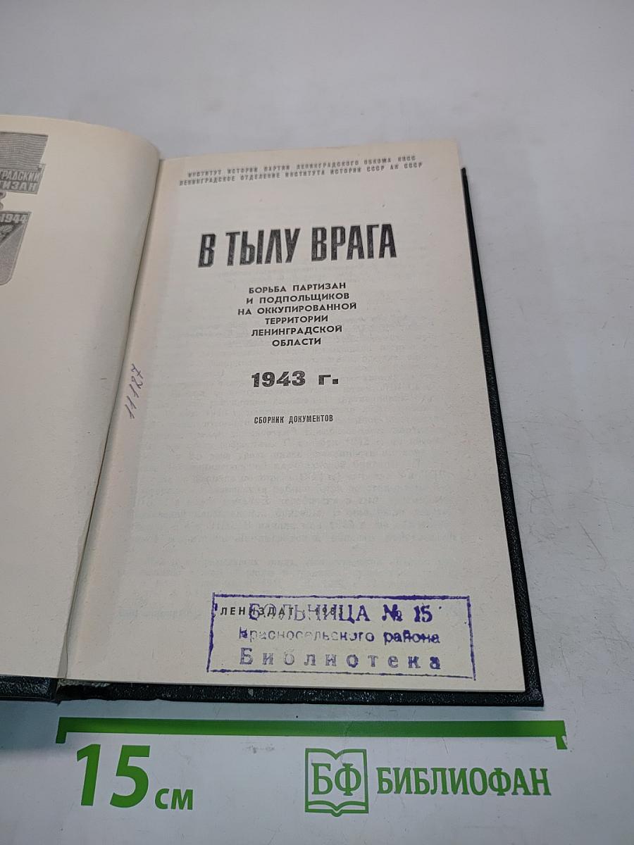 В тылу врага