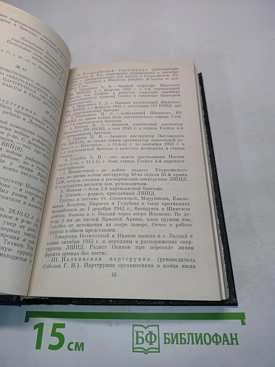 В тылу врага
