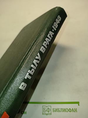 В тылу врага