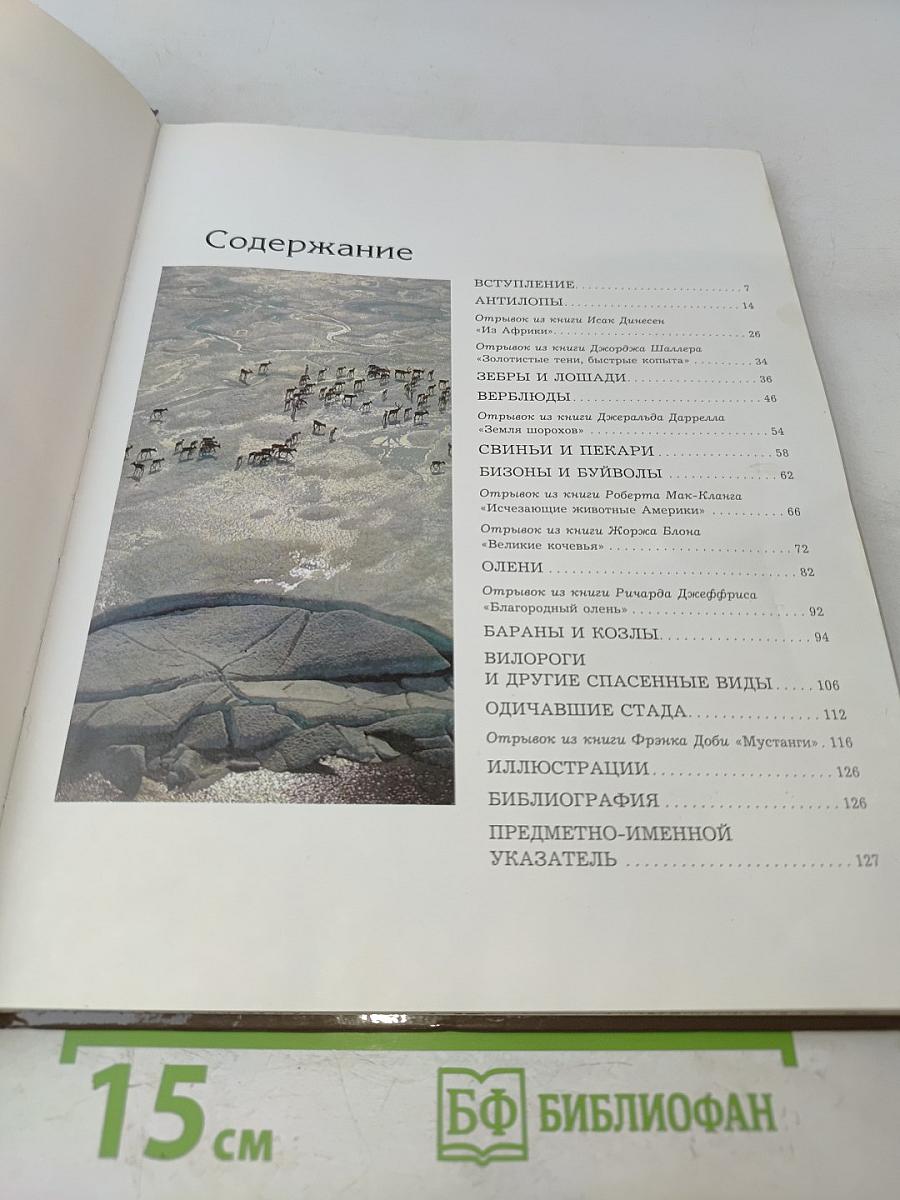 Дикие стада