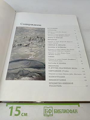 Дикие стада