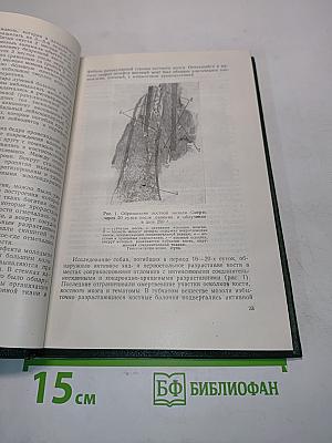 Восстановительные и компенсаторные процессы при лучевой болезни