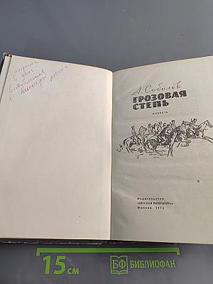 Грозовая степь
