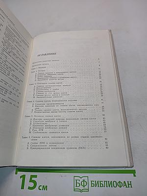 Гибридные клетки