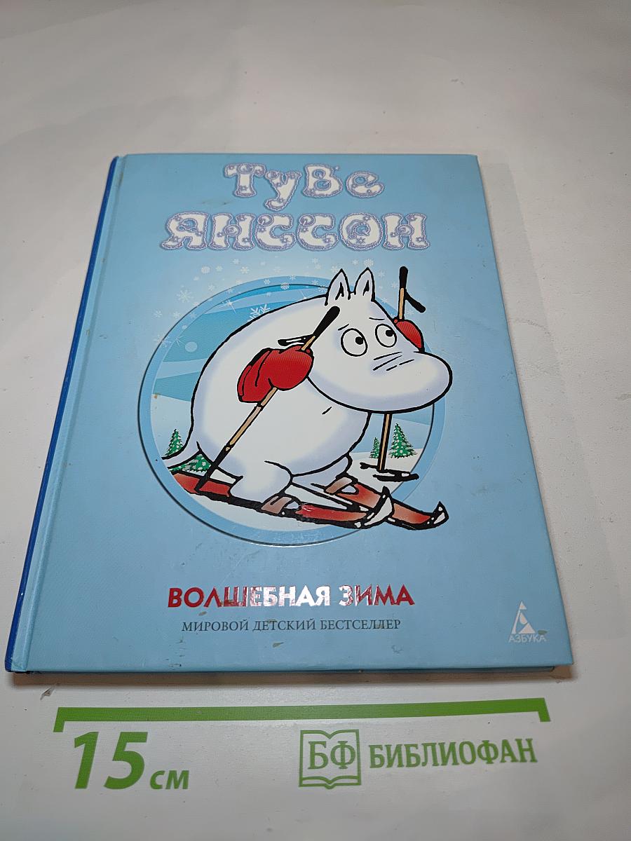 Волшебная зима