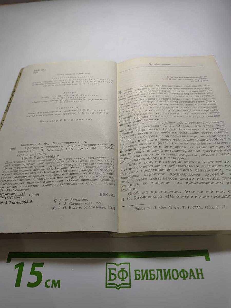 Еретики и ортодоксы. Очерки древнерусской духовности