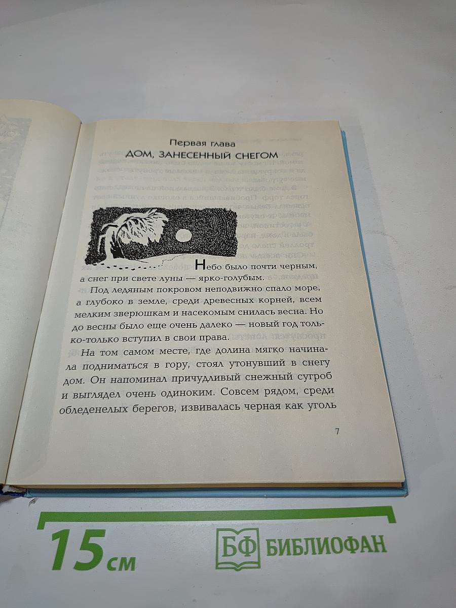 Волшебная зима