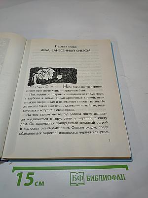 Волшебная зима