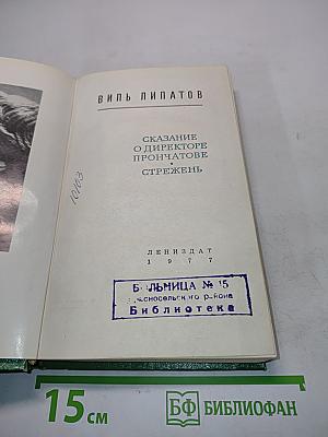 Сказание о директоре Прончатове Стрежень