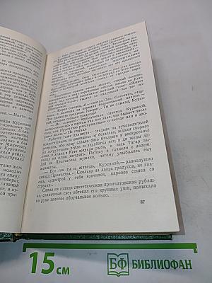 Сказание о директоре Прончатове Стрежень